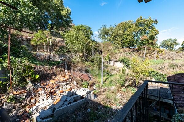 Terreno nas traseiras, por limpar, com muros e vegetação
